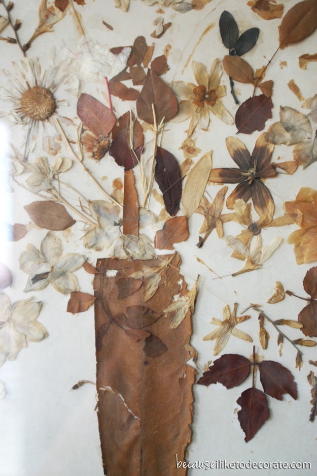 Pressed flowers  I  A lost art
